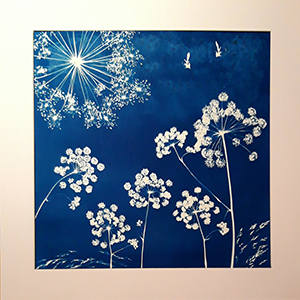 Feu d'artifice by Veronique ARMAND