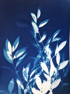Ruscus by Carasco