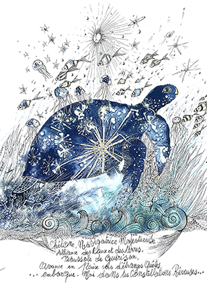 Tortue by Wasabi