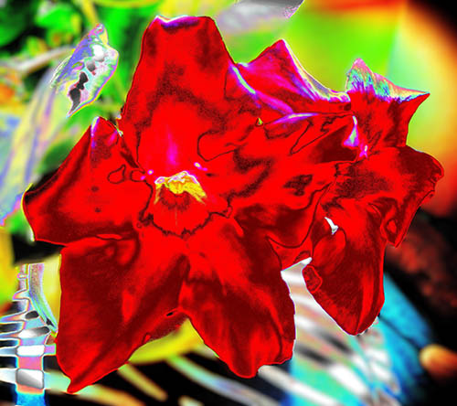 Fleur by Claire Teissier Godart