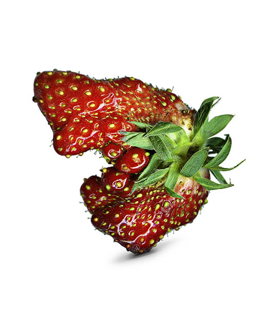 Fraise Hilare PK006 by Marc Defortescu