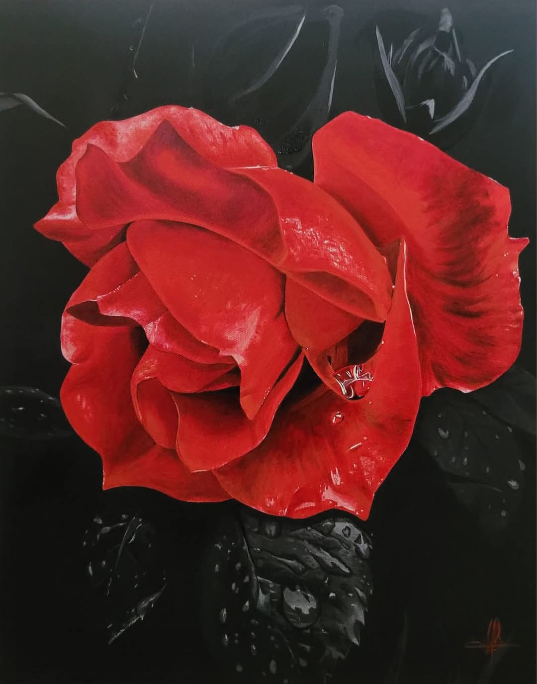 Ma Rose by CBCart7