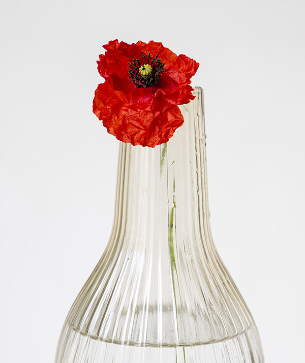 Rouge coquelicot 1 by Francis Goeller