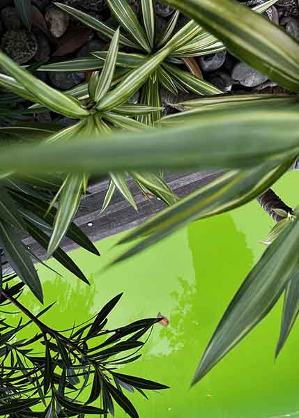 10H10 en Octobre by Fabienne Ferec