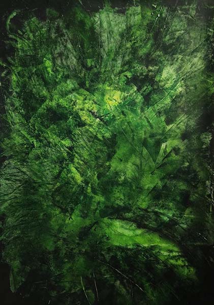 176-11-2024 by Zizzi