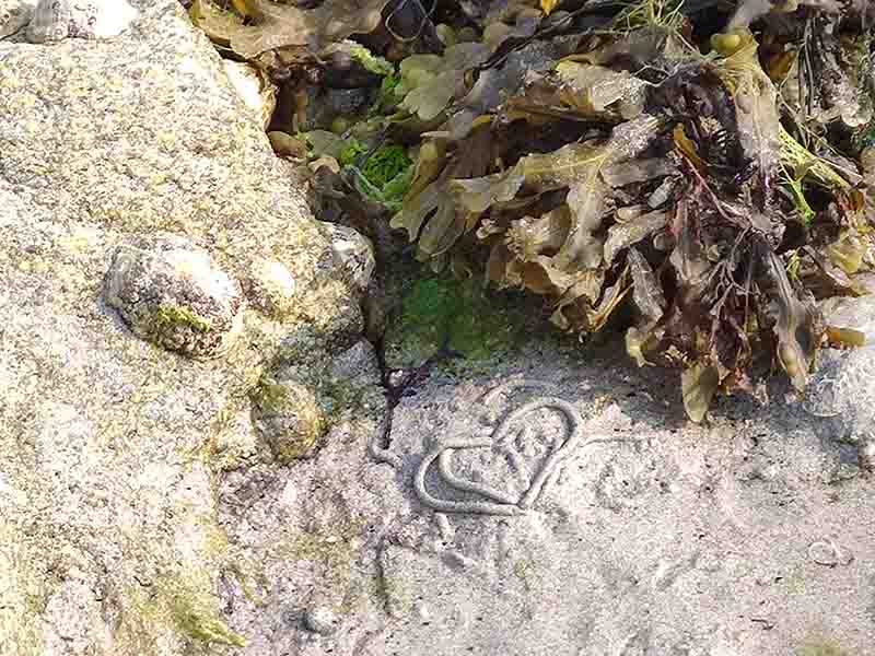 Coeur de Bretagne by Jessica Villani