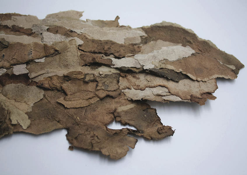 Écorce by Ada Baudinet