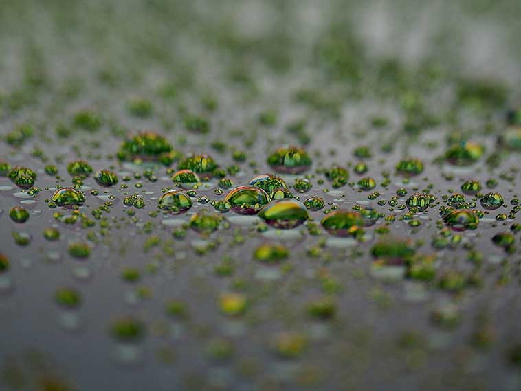 Empreinte Meauléculaire by BY DUPRAT