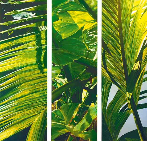 Exotic screen - Jardin Pamplemousse by Fabrice Verdure