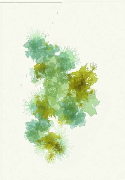 Grande éclosion lichénique II by Margot Burki