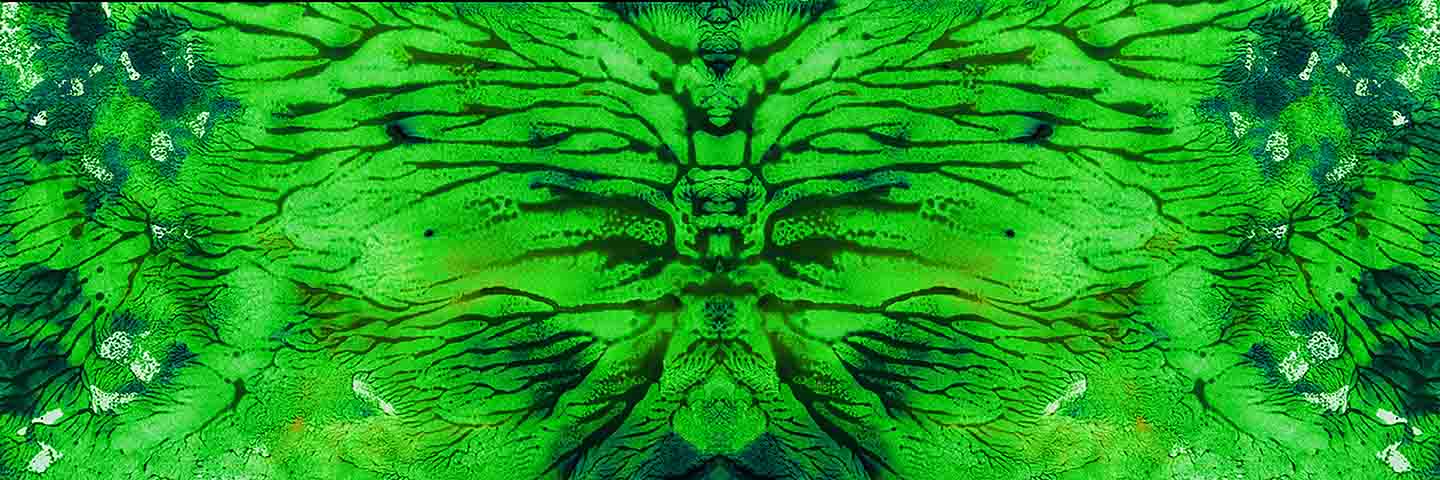 LAMIAIR Le geant by Mireille MASSACRIER FAGES