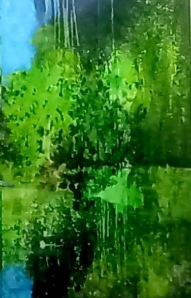 Le Chant Des Grenouilles 2 by Aline Filipp