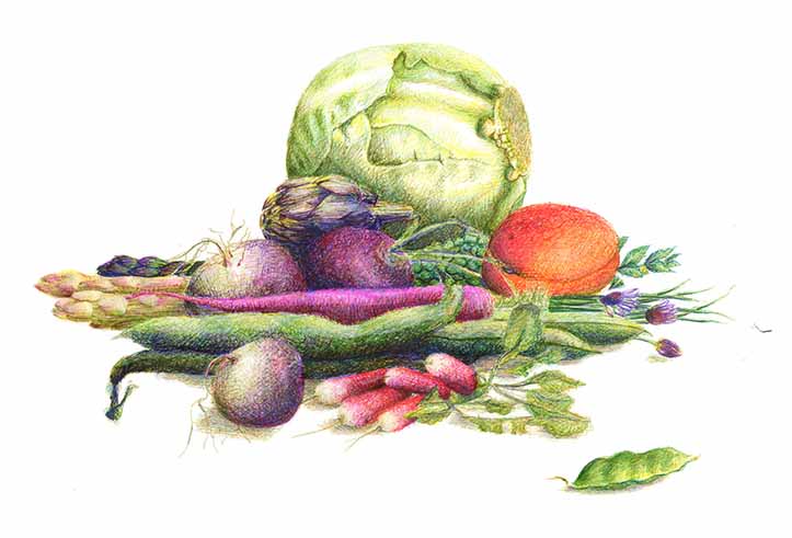 Le printemps aux fèves by Cécile Daubas