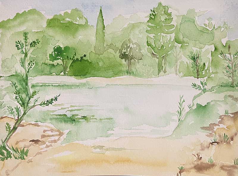 Mise au vert ovaire by Hager AOUIN