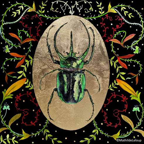 Scarabee I by Mathilde Leloup