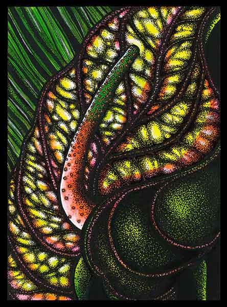 Tristes tropiques by Michèle Beck