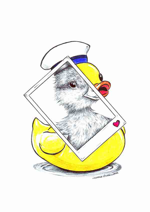 Canard by Laurence Caveriviere