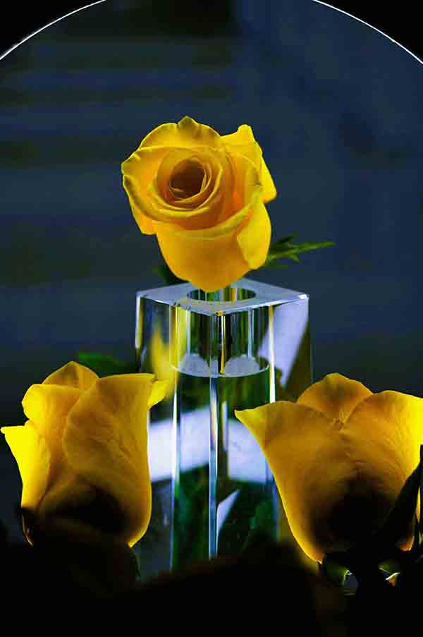 De jaune habillées by Pierre GONDA