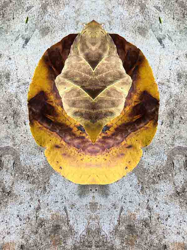 Double face 3 by Louise