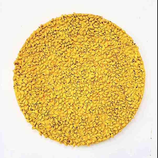 Jaune Acide by Aliette DUROYON