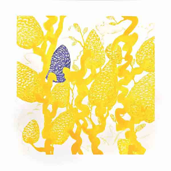 Jaune Impérial by Clotilde Cazamajour