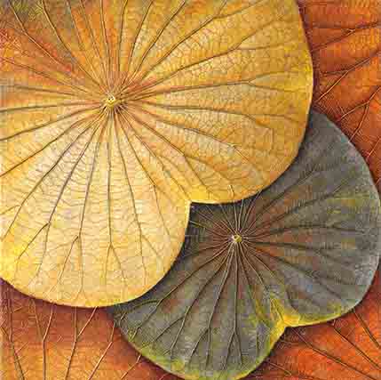 Mémoire végétale by Caroline Larriere